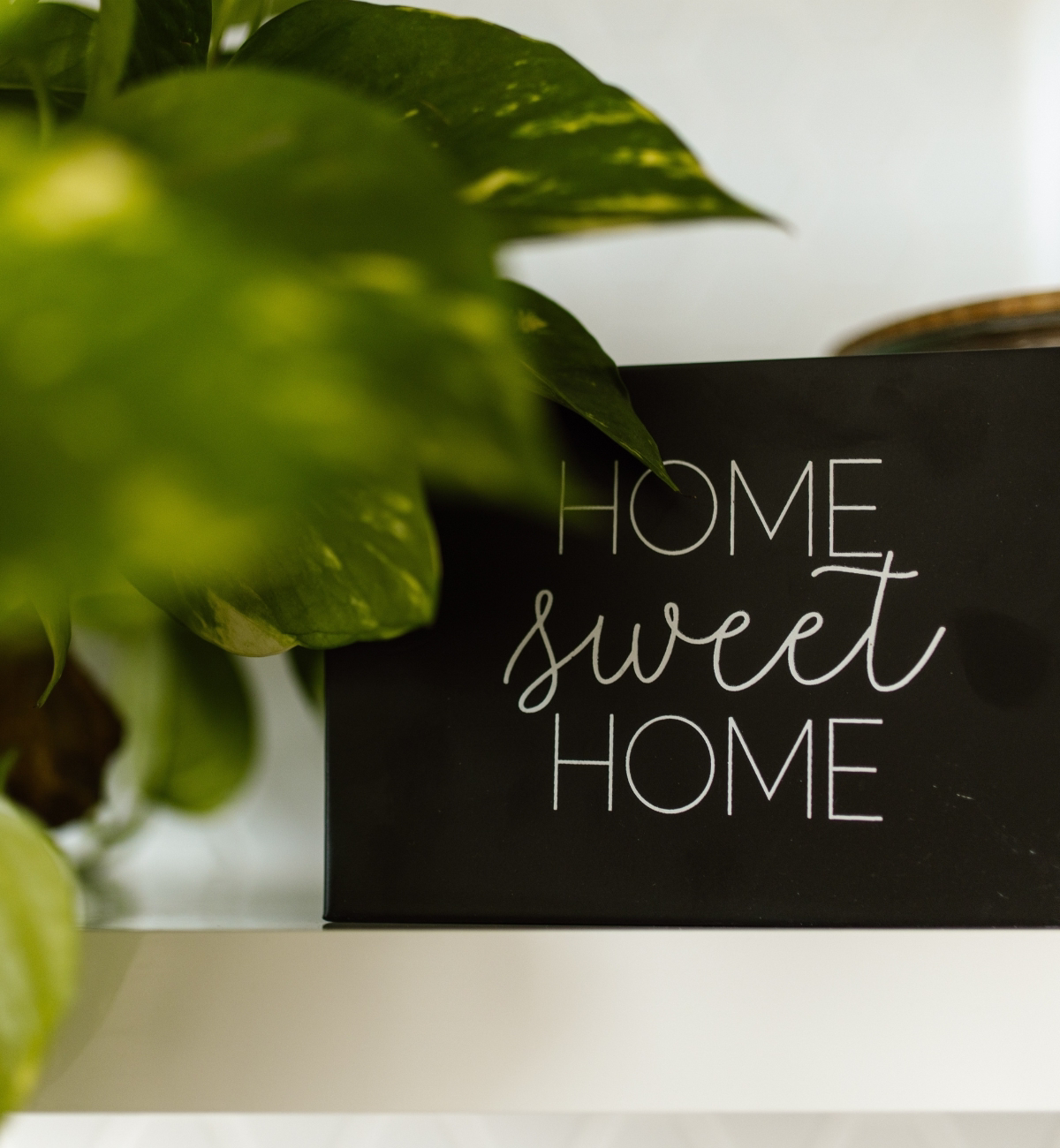 casa sostenible con poco dinero